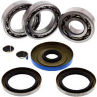 Differential Reparatursatz hinten All Balls Racing 252096