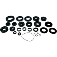 Differential Reparatursatz komplett All Balls Racing 252113