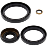 Differential Reparatursatz vorne All Balls Racing 2520665