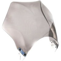 Scheibe Raptor Puig 0013H