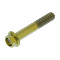 Schraube 6 Kant TIHX847G