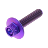 Schraube 6 Kant TISPHX625RP