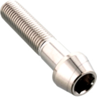 Schraube konisch LSSSC1045F