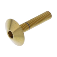 Linsenschraube LSSFB525XLG