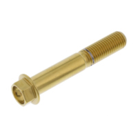 Schraube 6 Kant LSSHX1060FG