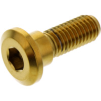 Schraube Bremsscheibe LSSDISCHONREG