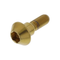 Schraube Bremsscheibe LSSDISCR1R6G