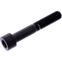 Zylinderschraube LSSPB1060FBK