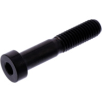 Zylinderschraube LSSSPDUC01BK