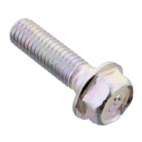 Schraube Kettenrad f&uuml;r: Kawasaki Originalersatzteil 92153-1101