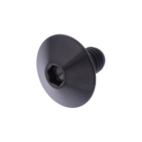 Linsenschraube TIFB610BK