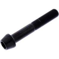 Schraube konisch TISC1060FBK