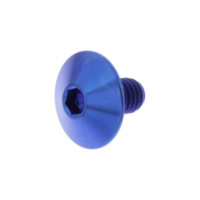 Linsenschraube TIFB610B