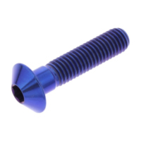 Linsenschraube TIFB830B