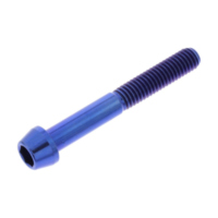 Schraube konisch TISC645B