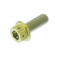 Schraube Dualdrive TIDD616RG