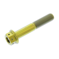 Schraube Dualdrive TIDD845RG