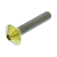 Linsenschraube TIFB525G