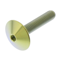 Linsenschraube TIFB525XLG