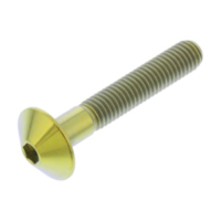 Linsenschraube TIFB530G