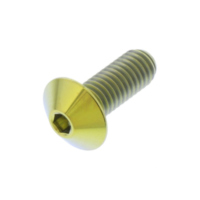 Linsenschraube TIFB616XSG