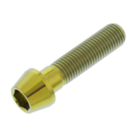 Schraube konisch TISC1040FG