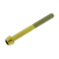 Schraube konisch TISC545G