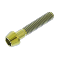 Schraube konisch TISC630G