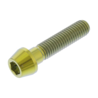 Schraube konisch TISC835G