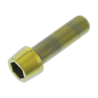 Schraube Schwinge TISPDUC40G