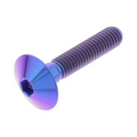 Linsenschraube TIFB630P