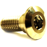 Schraube Bremsscheibe JMP Bolt SDISCYAM20