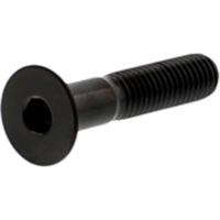 Senkschraube LSSCS840BK