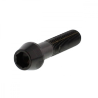 Schraube konisch LSSSC1045FBK