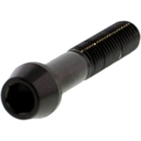 Schraube konisch LSSSC840BK