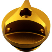 &Ouml;leinf&uuml;llschraube OFCH10G