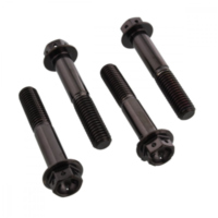 Klemmschraube Achse Satz SSFAPINCH10RBK