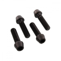 Klemmschraube Achse Satz SSFAPINCH140BK