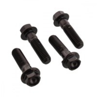 Klemmschraube Achse Satz SSFAPINCH160BK