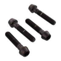 Klemmschraube Achse Satz SSFAPINCH200BK
