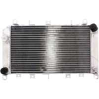 Wasserkühler JMP TRSR590