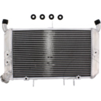 Wasserkühler JMP TRSR602