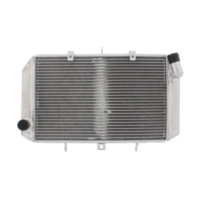 Wasserkühler JMP TRSR591