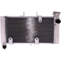 Wasserk&uuml;hler JMP 2019040125