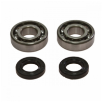 Kurbelwellenlager Satz NK10079