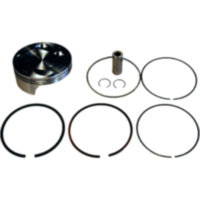 Kolbensatz 101.96MM Athena