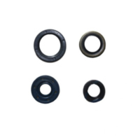 Wellendichtring Satz Athena P400250400030