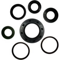 Simmering Wellendichtring Satz P400485400172