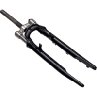  f&uuml;r: R-Wind Gabel VORN