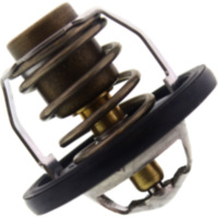 Thermostat Tourmax TMT302